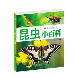 昆虫小百科 155页彩图注音版少儿科普图画书 昆虫记奇妙的大自然动物百科全书儿童启蒙认知昆虫世界认知探索图画书