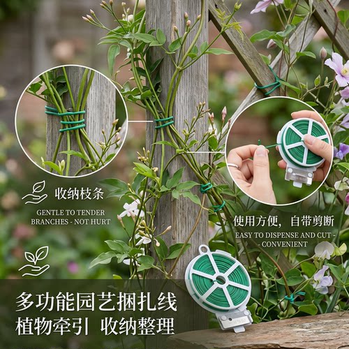 捆扎带园艺爬藤植物固定绳