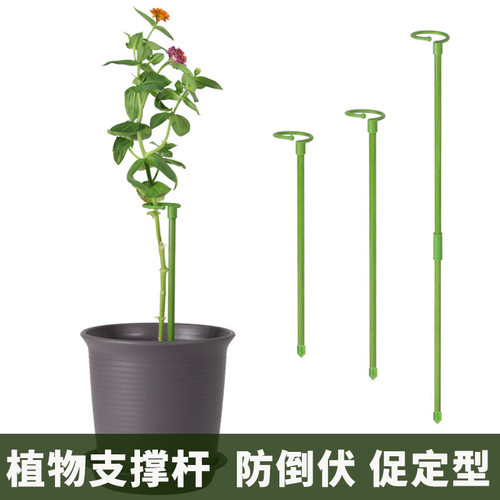 植物固定防倒伏花架子园艺支撑单杆室外花园月季爬藤种菜捆扎支架