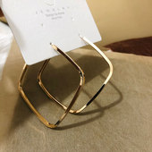 2021新款 简约大气日韩ins 夸张方形耳圈大耳环S925银针欧美风时尚