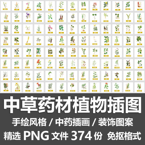 中草药材植物插图 手绘中医中药名称图鉴插画装饰图案PNG免抠素材