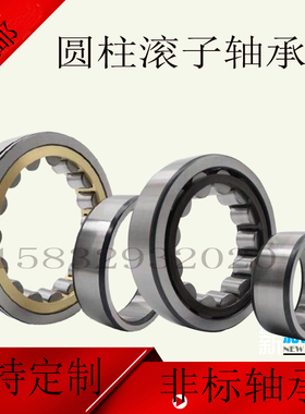 二类圆柱滚子轴承NJ NU305 306 307 308 309 310 311 312EM C3 E
