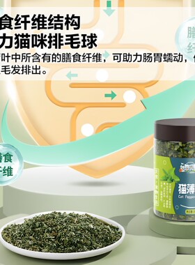 憨憨乐园猫薄荷天然猫薄荷幼猫零食猫薄荷 猫薄荷20g猫咪专用零食