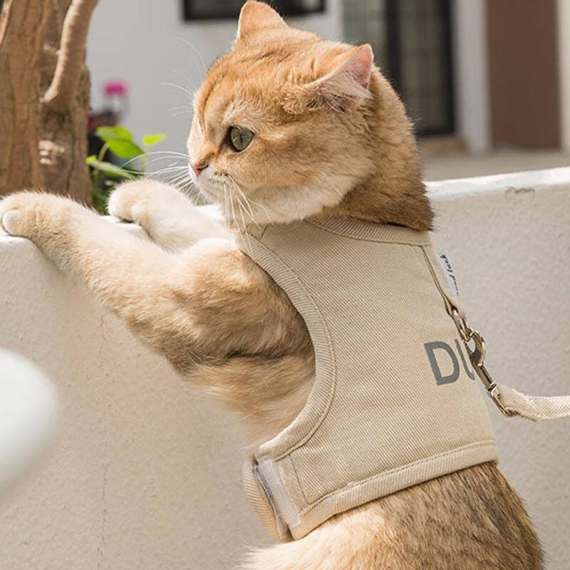 欢宠网猫咪牵引绳猫绳宠物防挣脱可调松紧背心式专用溜遛猫绳子外怎么样,好用不?