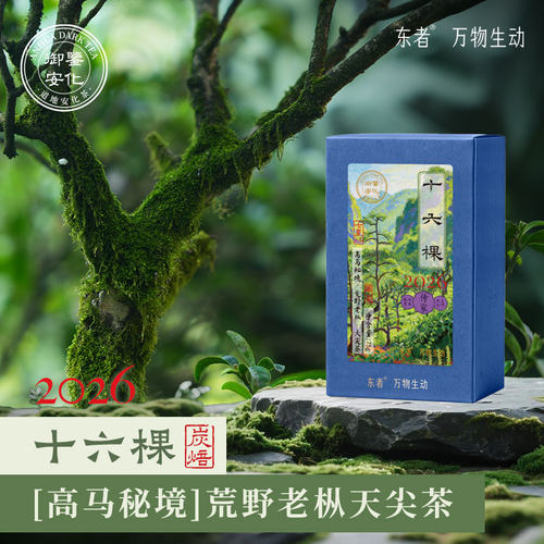拾六棵高马十六棵古树茶散茶安化黑茶75克616
