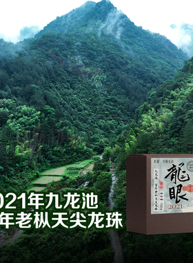 龙眼-2021高马产区百年老枞天尖茶龙珠100g