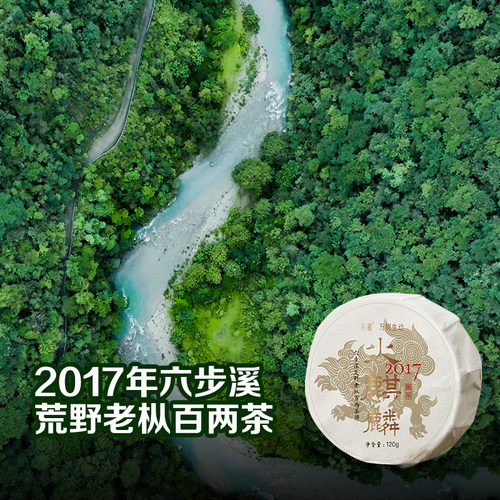 六步溪百两茶饼花卷茶