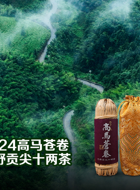 高马苍卷十两茶花卷茶荒野老枞春尖小师姐评茶 安化黑茶
