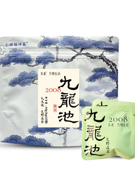 九龙池2008金花茯茶袋泡安化黑茶高山茶4克*10泡