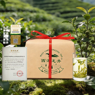 2026梅家坞雨前一级西湖龙井茶叶春茶口粮茶炒青绿茶