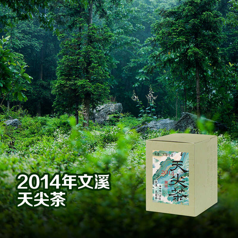 文溪2014天尖茶75克 安化黑茶 7.28