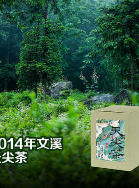 文溪2014天尖茶75克 安化黑茶 7.28