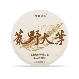 2022年荒野大叶黄金叶饼茶300克 春寿眉