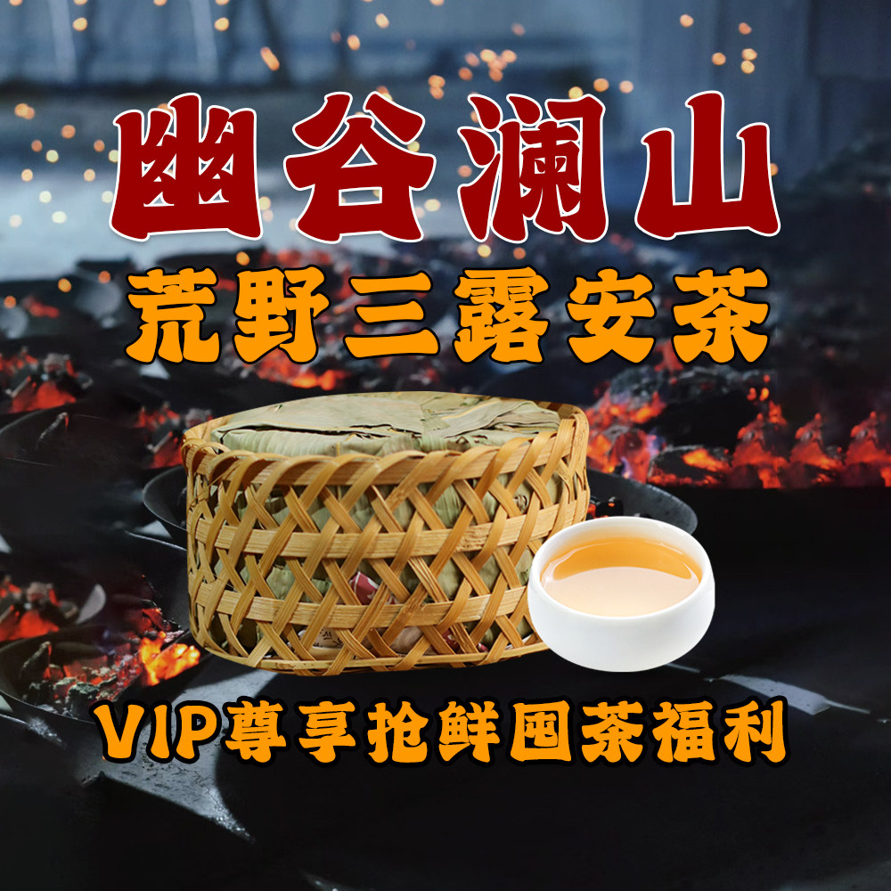 2025幽谷澜山荒野三露特贡安茶高端祁门安茶黑茶冬季限定,茶,特色产区黑茶,淘宝优惠券,粉丝福利购,淘宝优惠卷