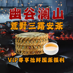 2025幽谷澜山荒野三露特贡安茶高端祁门安茶黑茶冬季限定