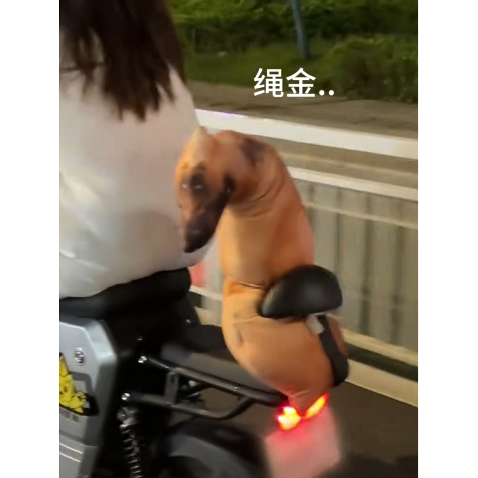 毛绒玩具动物哈士奇公仔大号可爱女生睡觉玩偶创意仿真单身狗抱枕
