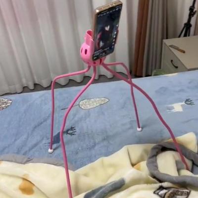 小章鱼新款懒人通用床上手机支架床头桌面直播俯拍多功能抖音架子