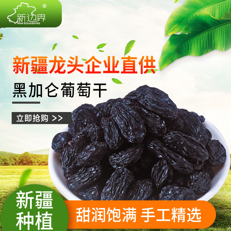 新边界新疆特产特级超大免洗黑加仑葡萄干400g罐装吐鲁番零食小吃