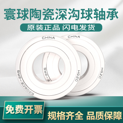 寰球氧化锆全陶瓷密封轴承 6900 6901 6902 6903 6904 6905 CE-RS