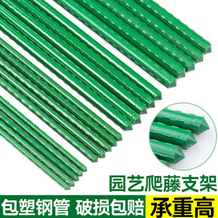 植物支架园艺包塑料管黄瓜番茄爬藤支撑杆包塑支柱杆子植物支撑杆