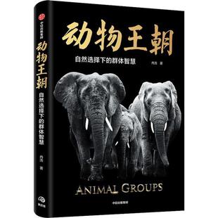 社 動物王朝 JHX 中信出版 9787521710717 自然選擇下 群體智慧