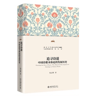 正版新书 追寻诗道 中国诗歌本体论的发展历史 9787301366042 北京大学出版社 HHD