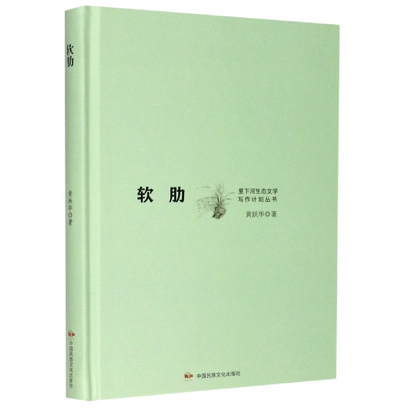 正版新书 软肋 9787512214170 中国民族摄影艺术出版社 JTW - 实物图