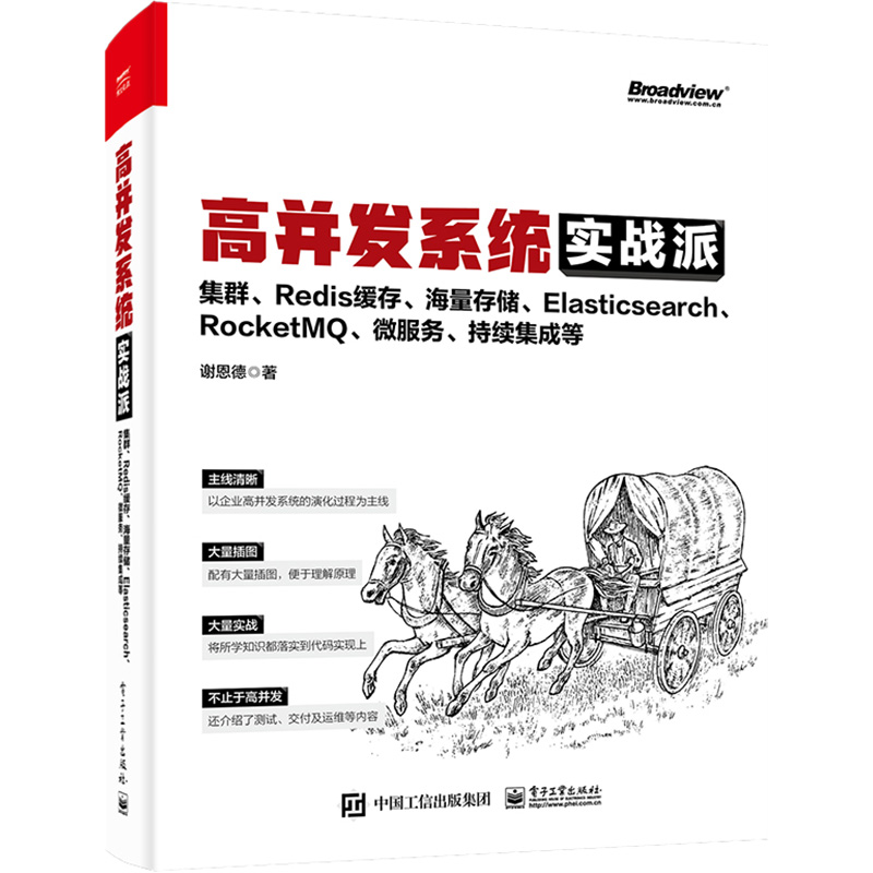 高并发系统实战派 集群、Redis缓存、海量存储、Elasticsearch、RocketM、微服务、持续集成等 9787121442049 电子工业出版社 HHD