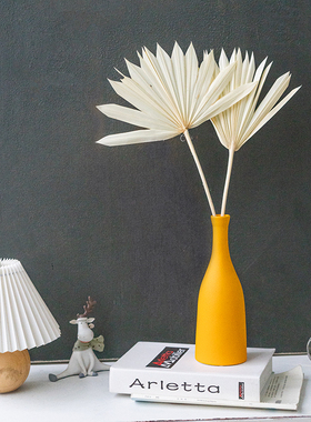 进口太阳扇棕榈叶蒲扇干花北欧风葵扇叶摆件家居客厅拍摄天然花艺