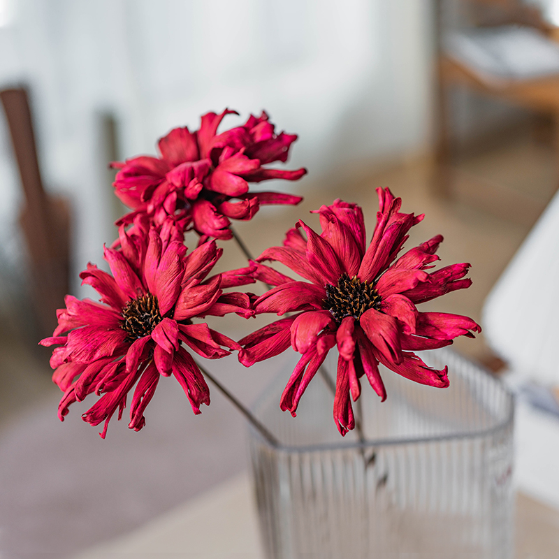 大丽花北欧干燥花手工果实果壳花红花干花花束客厅摆设