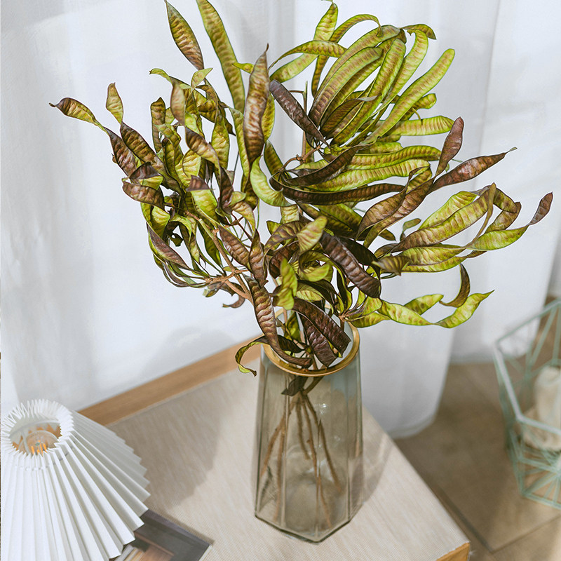 银合欢果红绿扁豆天然干花花束配草配果家居插花装饰民宿橱窗搭配