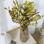 银合欢果红绿扁豆天然干花花束配草配果家居插花装 饰民宿橱窗搭配