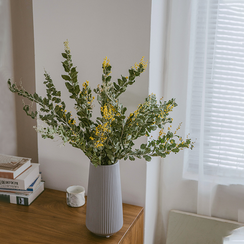 银叶合欢带花北欧天然干花干树枝插花配叶配草花束装饰橱窗设计