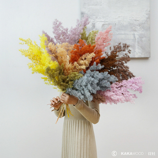 永生花蓬莱松天然植物节日花艺橱窗卧室客厅桌面装饰室内干花ins