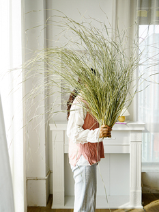 细蒲苇草垂感飘逸侘寂插花设计神器小众植物家居酒店民宿软装 设计