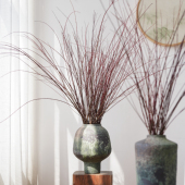 红瑞木自然红色枝条装 饰花艺摆件多支组合家居氛围感干花材