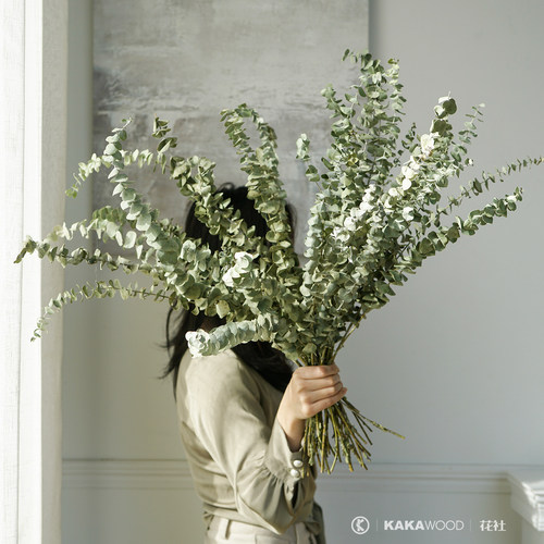 ins北欧天然干干花配尤加利叶