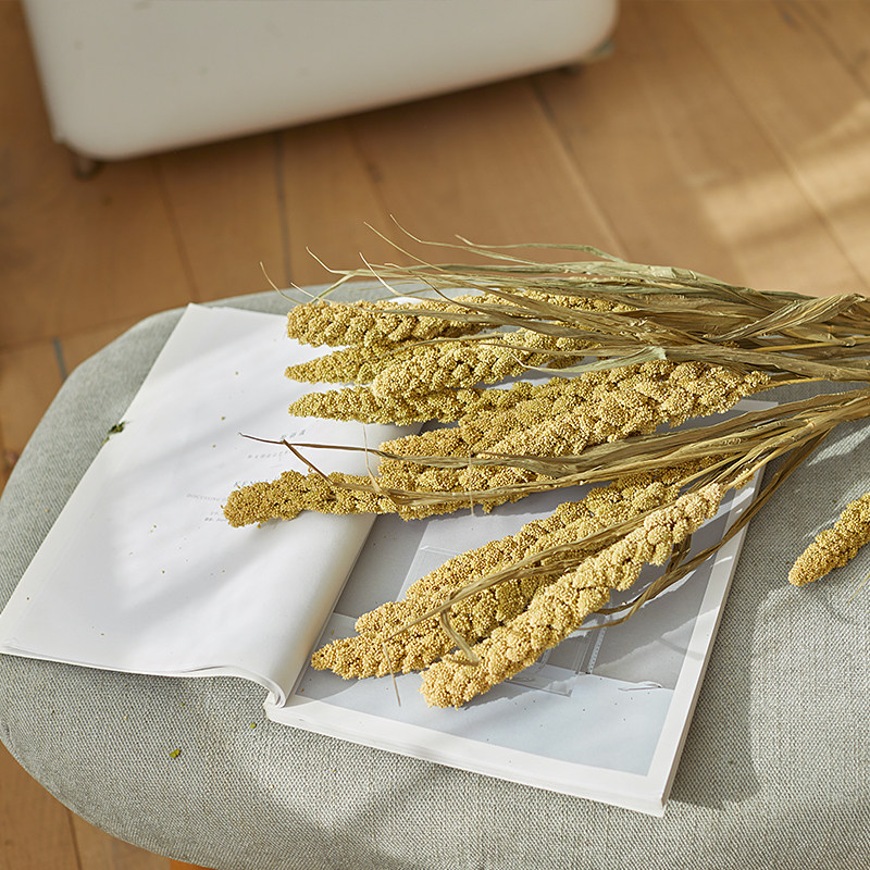 北欧日式天然植物干花束插花配草家居装饰干燥花烘干自然小米穗子