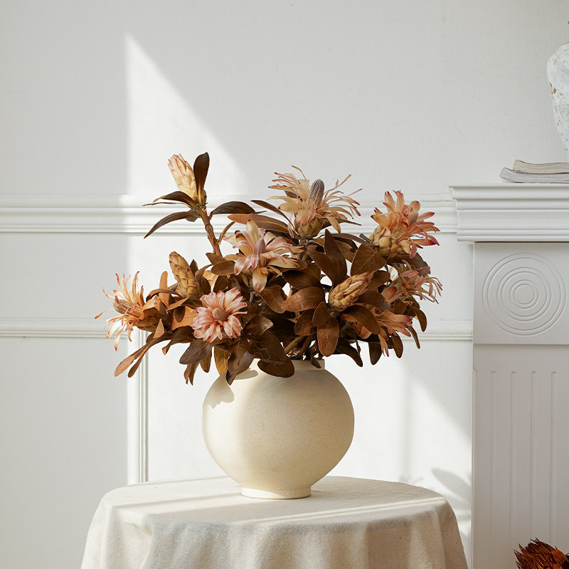南非进口自然色公主ins风干花家居插花花束搭配干花花束客厅摆设