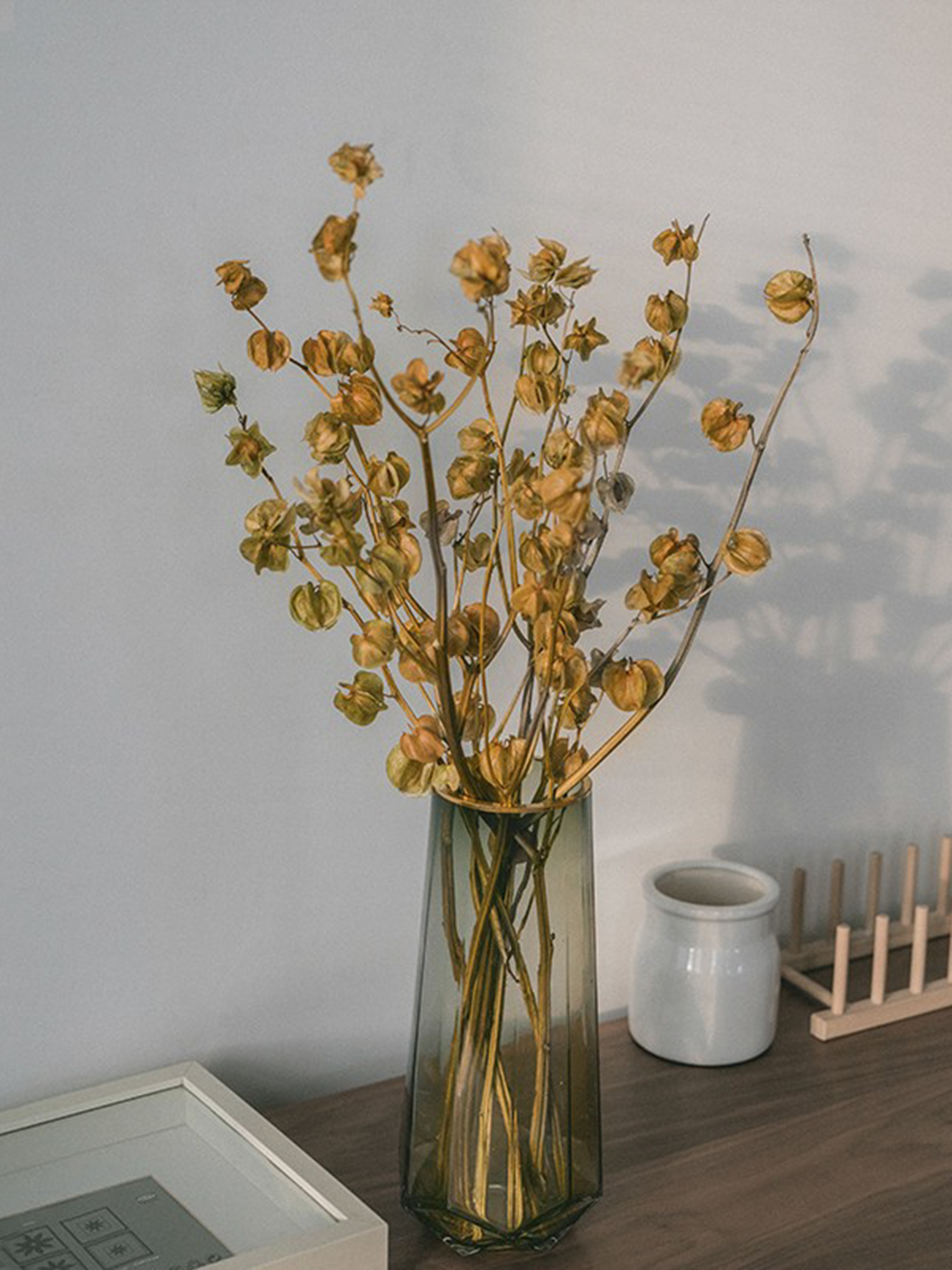 天然植物家居装饰果实树枝北欧