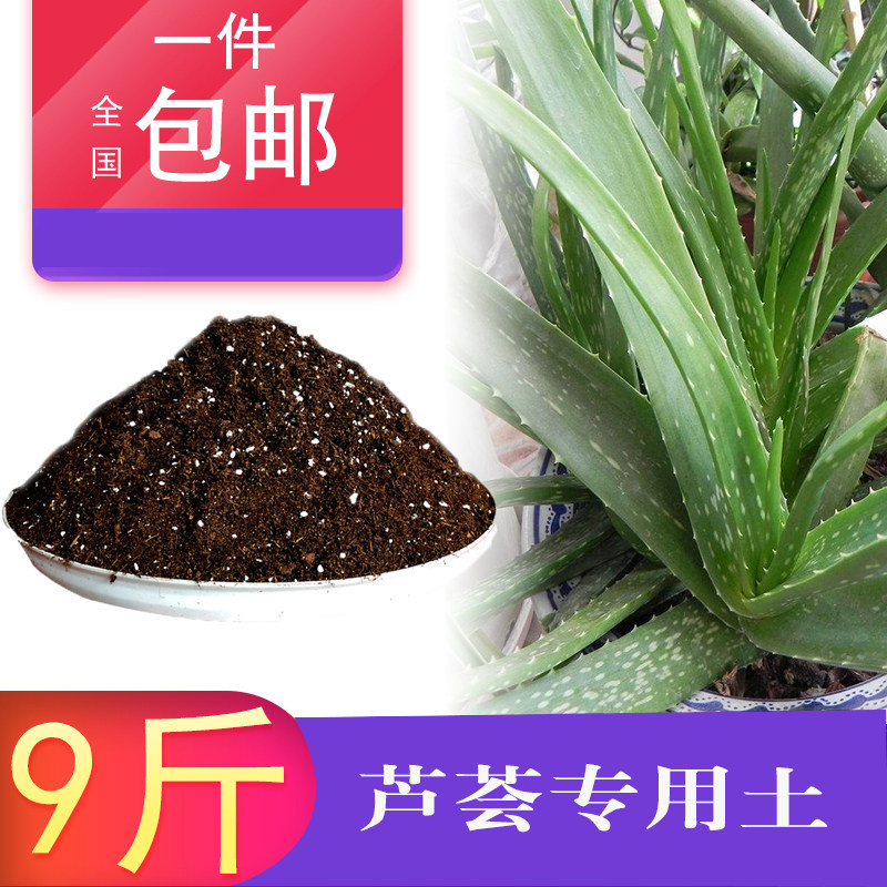 芦荟盆栽用土素材模板 芦荟盆栽用土图片下载 小麦优选