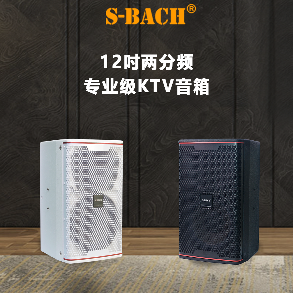 斯巴赫12寸专业音响家庭KTV影音家用K歌音箱会议卡拉OK套装