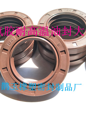 FKM氟胶耐高温防腐蚀骨架油封 NBR丁青耐油橡胶TC骨架油封密封件