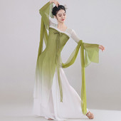 古典舞舞蹈服女飘逸身韵长款 纱衣中国舞演出服古风齐胸汉唐舞蹈服