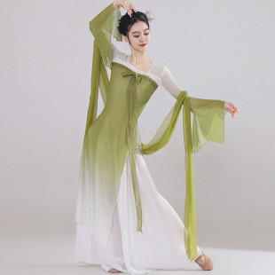 古典舞舞蹈服女飘逸身韵长款 纱衣中国舞演出服古风齐胸汉唐舞蹈服