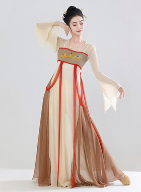 古典舞蹈服女飘逸古风纱衣练功服中国舞长款连衣裙汉唐舞蹈演出服