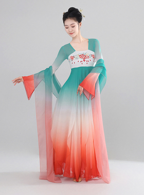 古典舞蹈服女飘逸古风纱衣练功服中国舞长款连衣裙汉唐舞蹈演出服