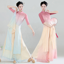 纱衣中国舞演出服 古典舞蹈服女飘逸旗袍舞蹈服弹力网练功表演长款