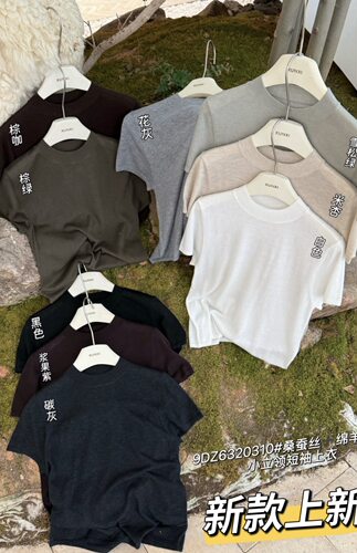 闰熙runxi正品26秋上新气质百搭软糯毛织上衣26秋季短袖百搭0310