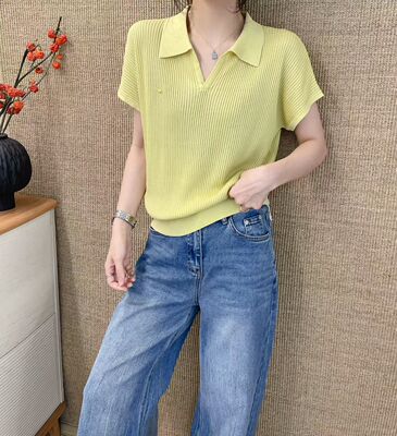 26早秋新款韩版时尚剪刀V领洋气百搭套头短袖纹理针织衫女潮